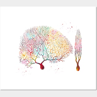 Purkinje Neuron Posters and Art